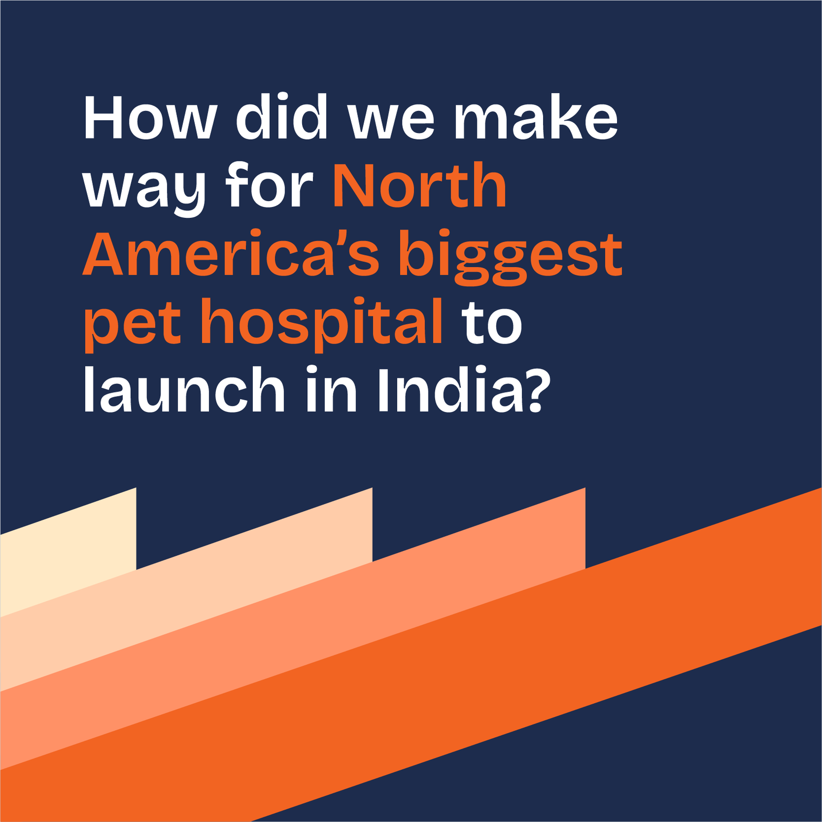 End-to-end healthcare digital marketing case study – strategy and execution